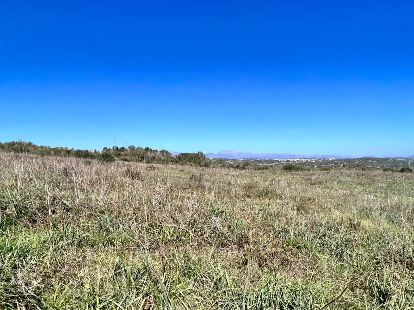 Finca rústica en venta en Petra