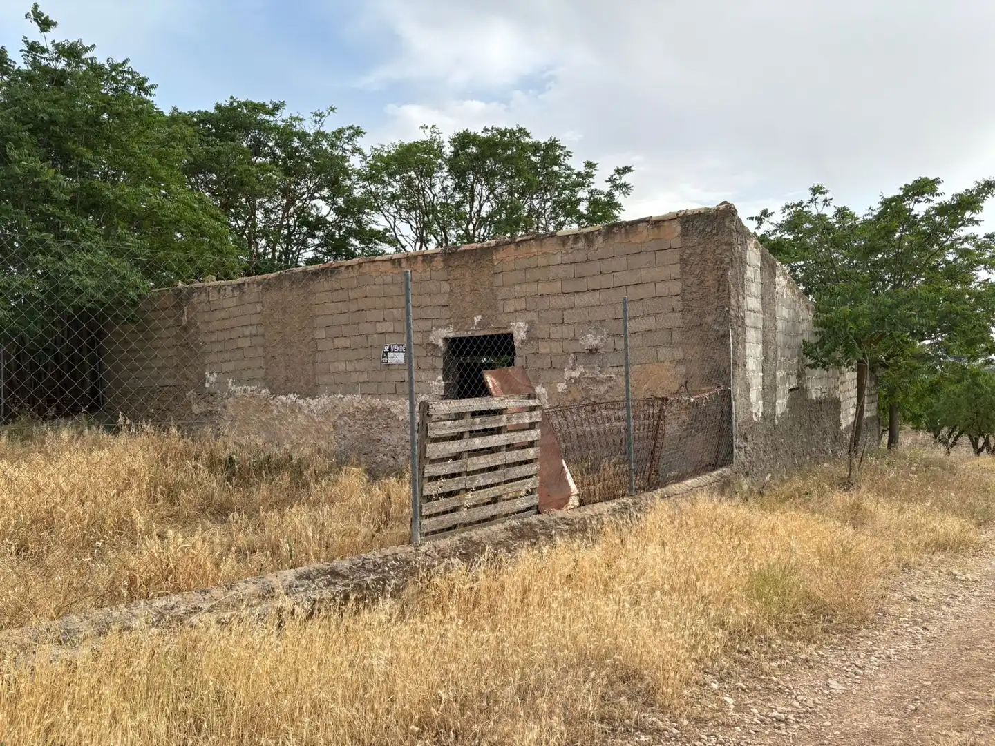 Terreno rústico en venta en Cortes de Baza, imagen 6