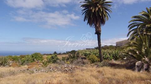 Photo 4 of Country house for sale in Siete de Septiembre, Tijarafe, Santa Cruz de Tenerife