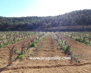 Finca rústica en venda en Nonaspe