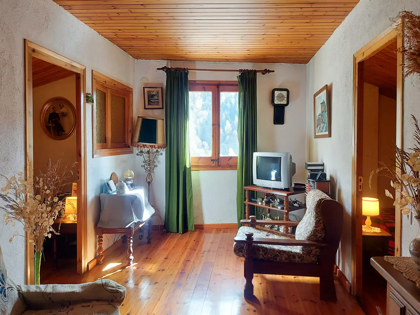 Sala de estar de Casa o chalet en venta en Setcases con Calefacción y Terraza