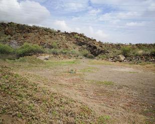 Land for sale in Arafo