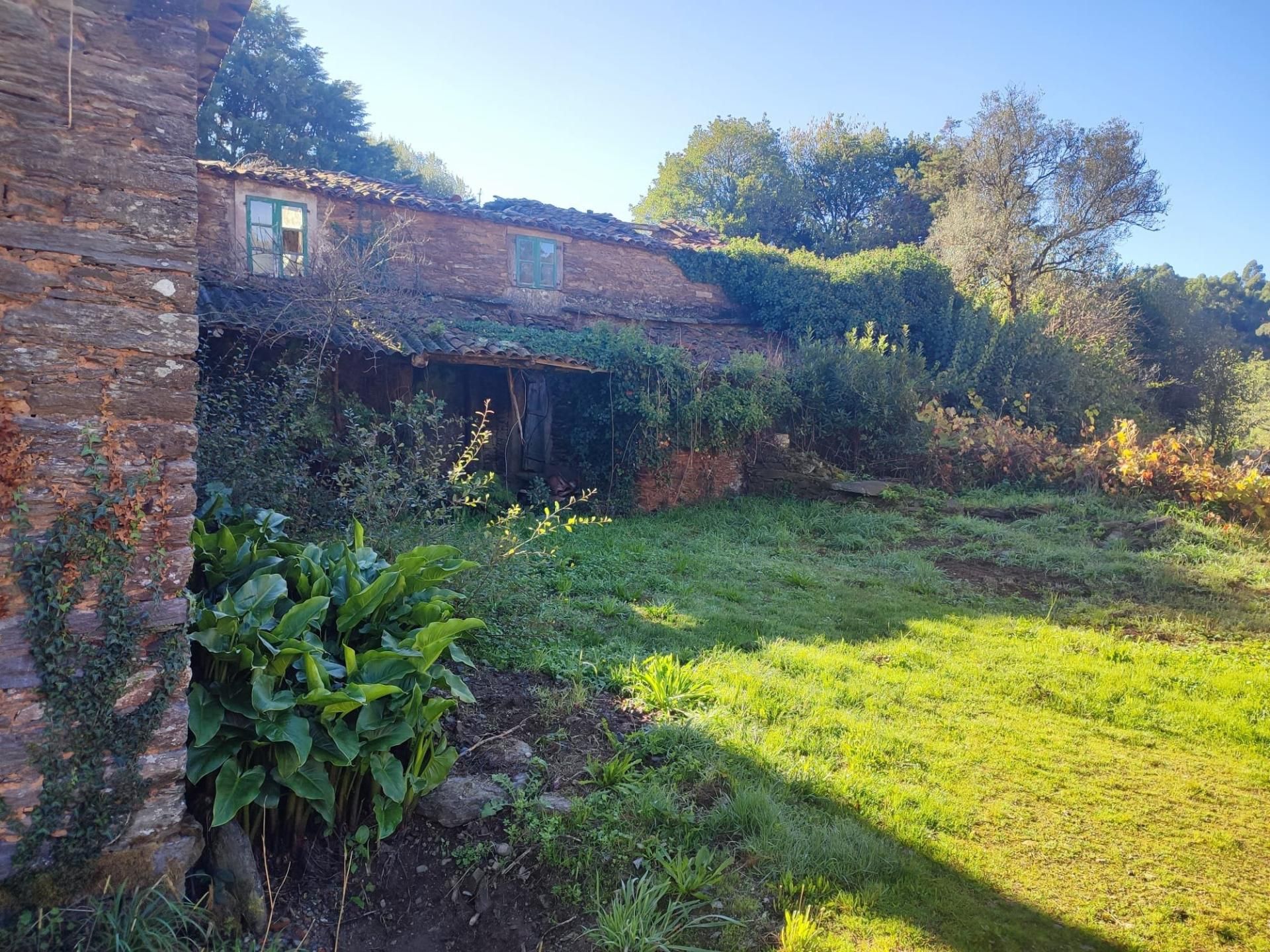 Garden of House or chalet for sale in O Pino 