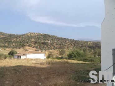 Terrain résidentiel à vendre à Algodonales
