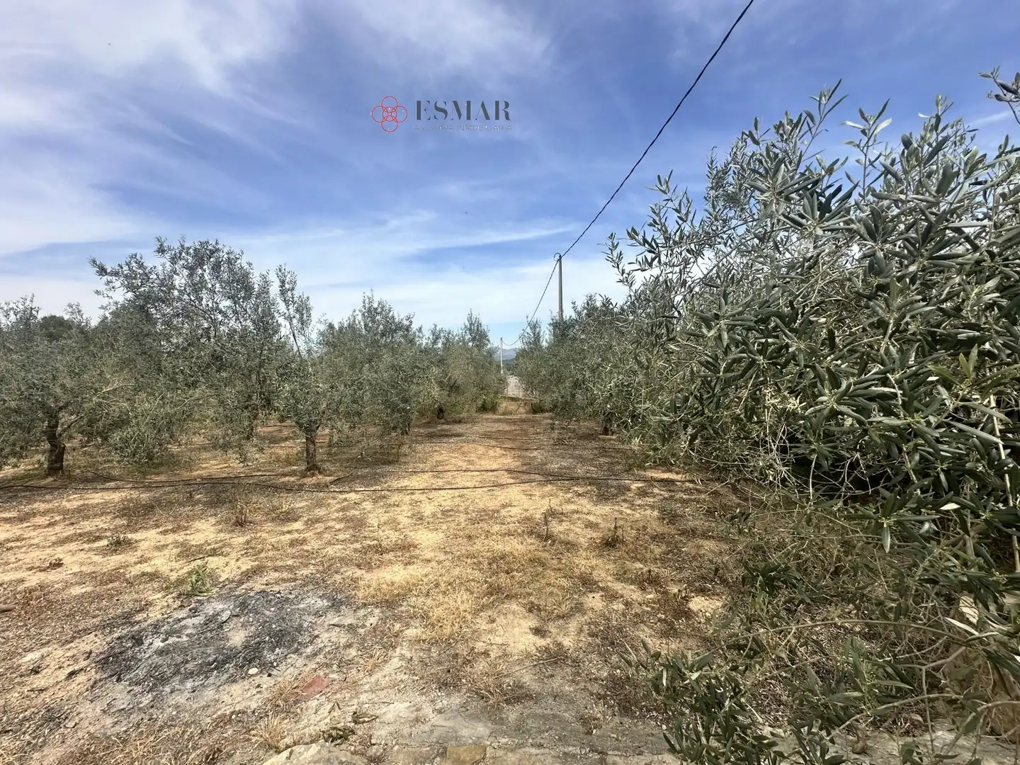 Chalet con piscina en venta en Algímia de Alfara, imagen 3