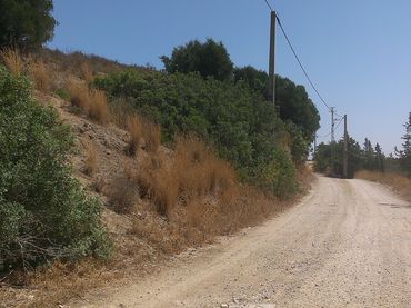 Rustikales Grundstück zum Verkauf in Medina Sidonia