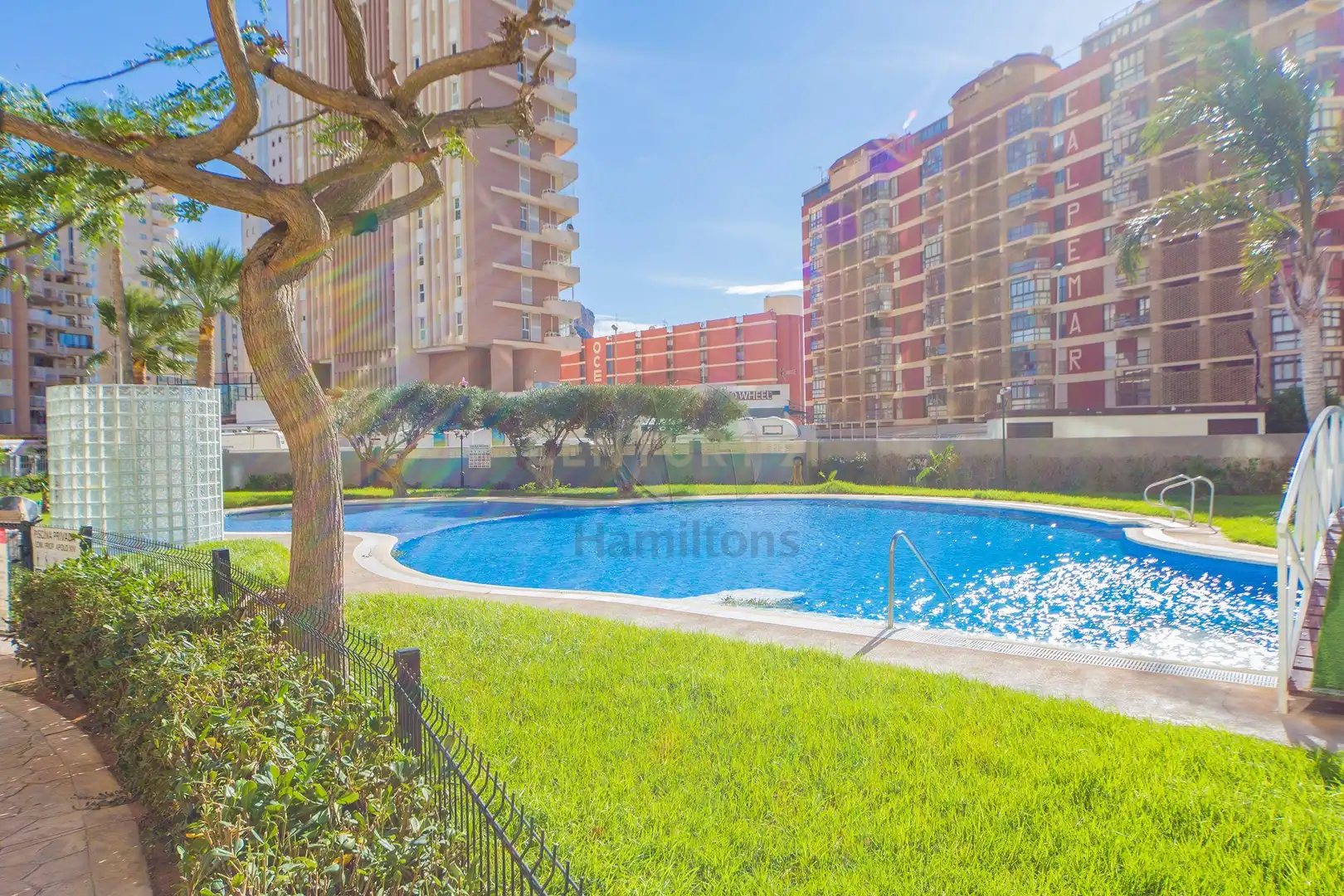 Schwimmbecken von Wohnung zur Miete in Calpe / Calp mit Klimaanlage, Möbliert und Waschmaschine