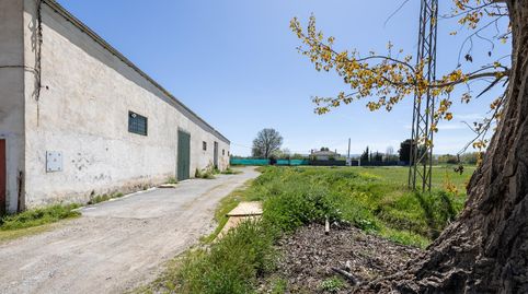 Foto 4 de Finca rústica en venta en Camino Camino de Purchil, 9, Camino de Ronda, Granada Capital