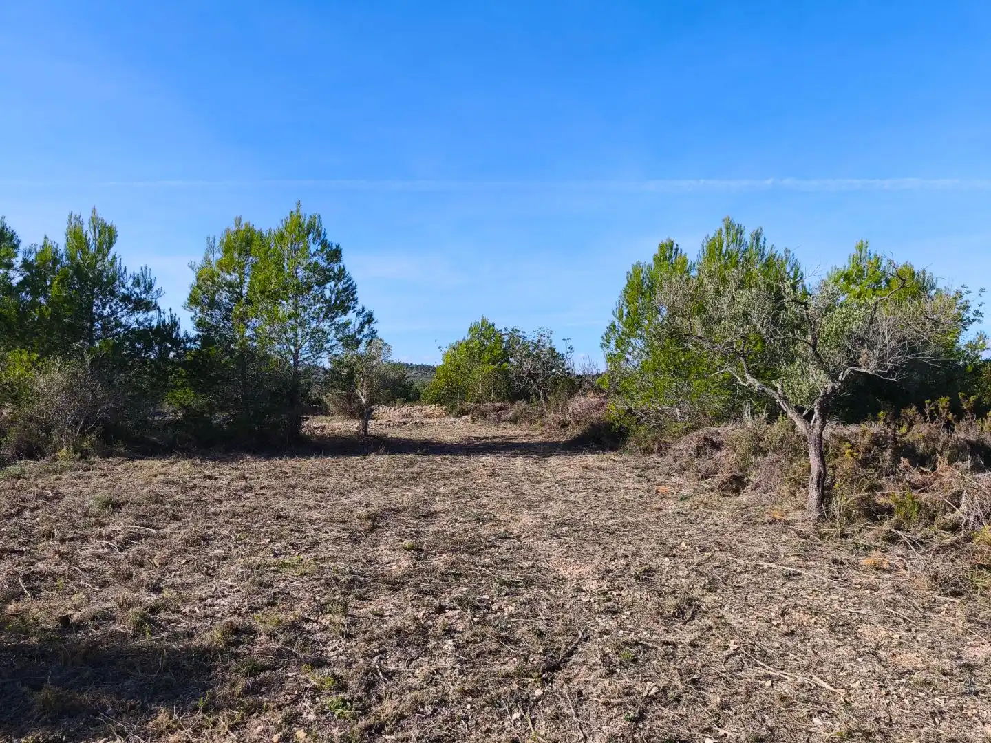 Rural land for sale in Carrer Fray Salvador 50, imagen 4