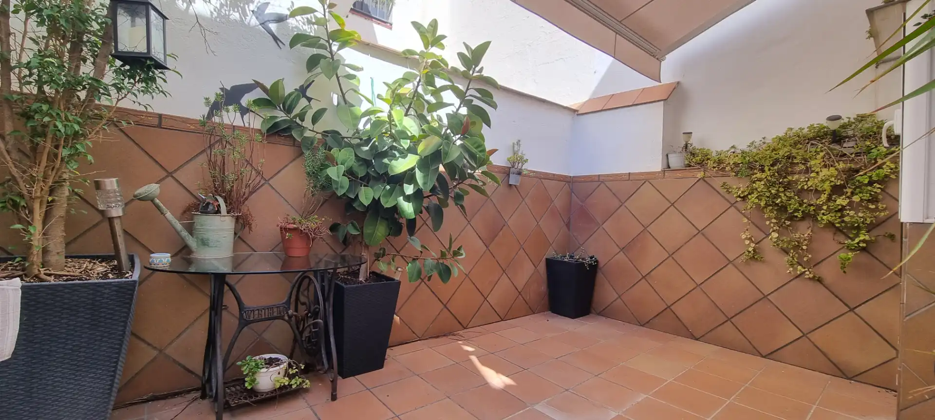 House with terrace for sale in Casagemes - Canyadó, imagen 3