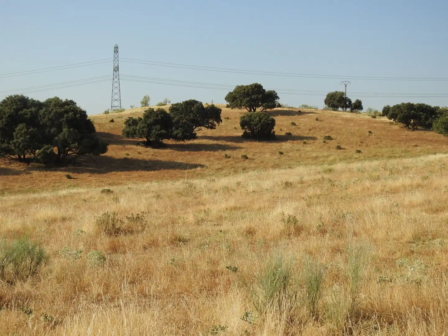 Land for sale in Villar del Pedroso
