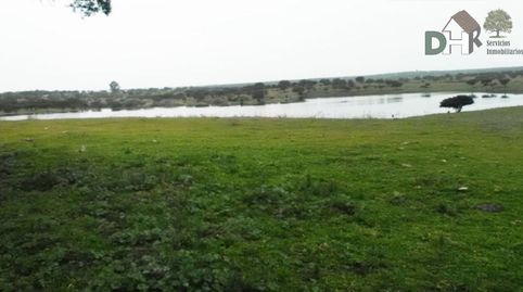 CáceresTerreno
