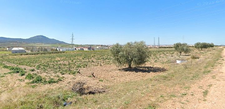 Industrial land for sale in Calamonte