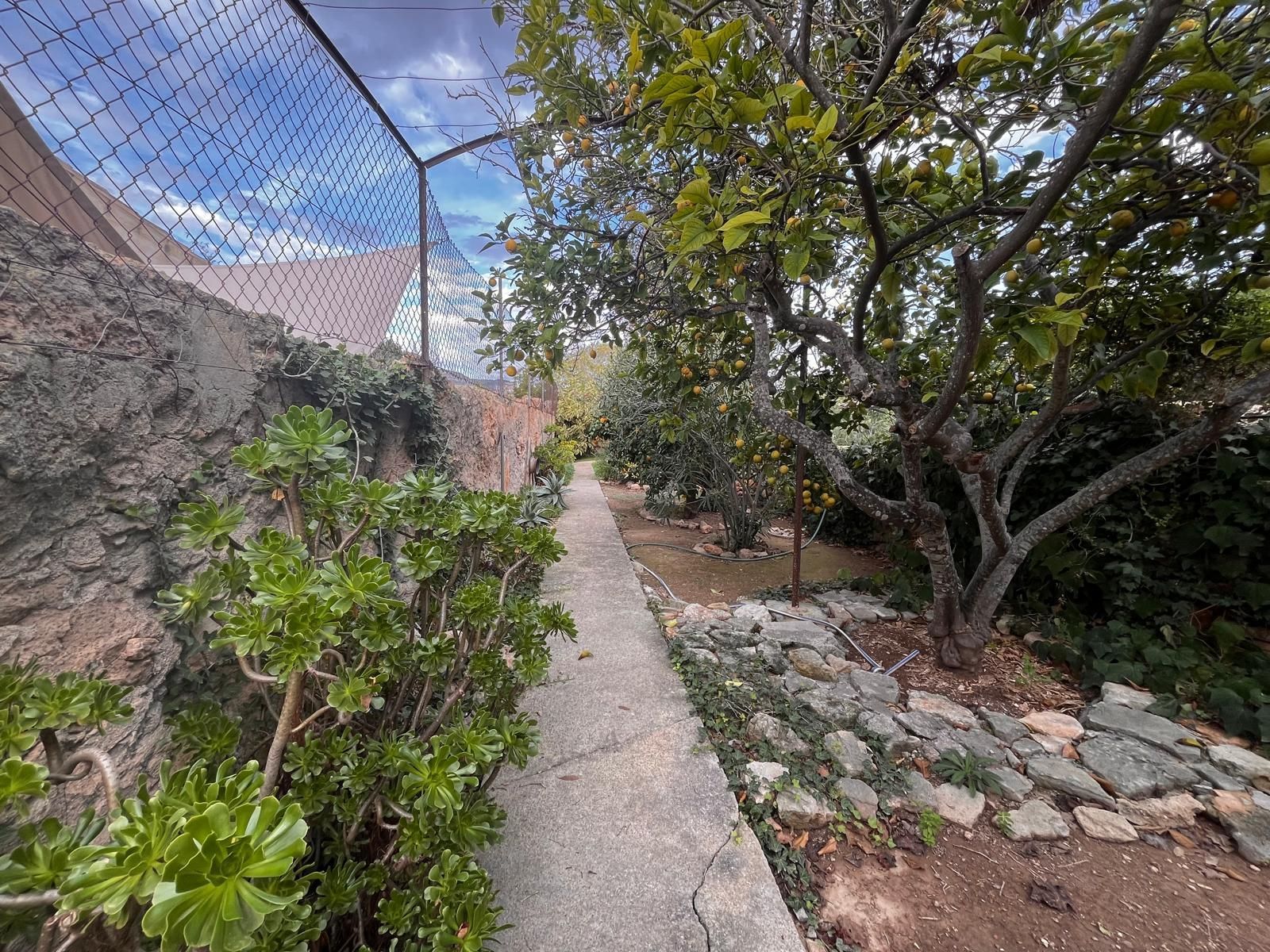 Exterior view of Country house to rent in Llucmajor  with Private garden