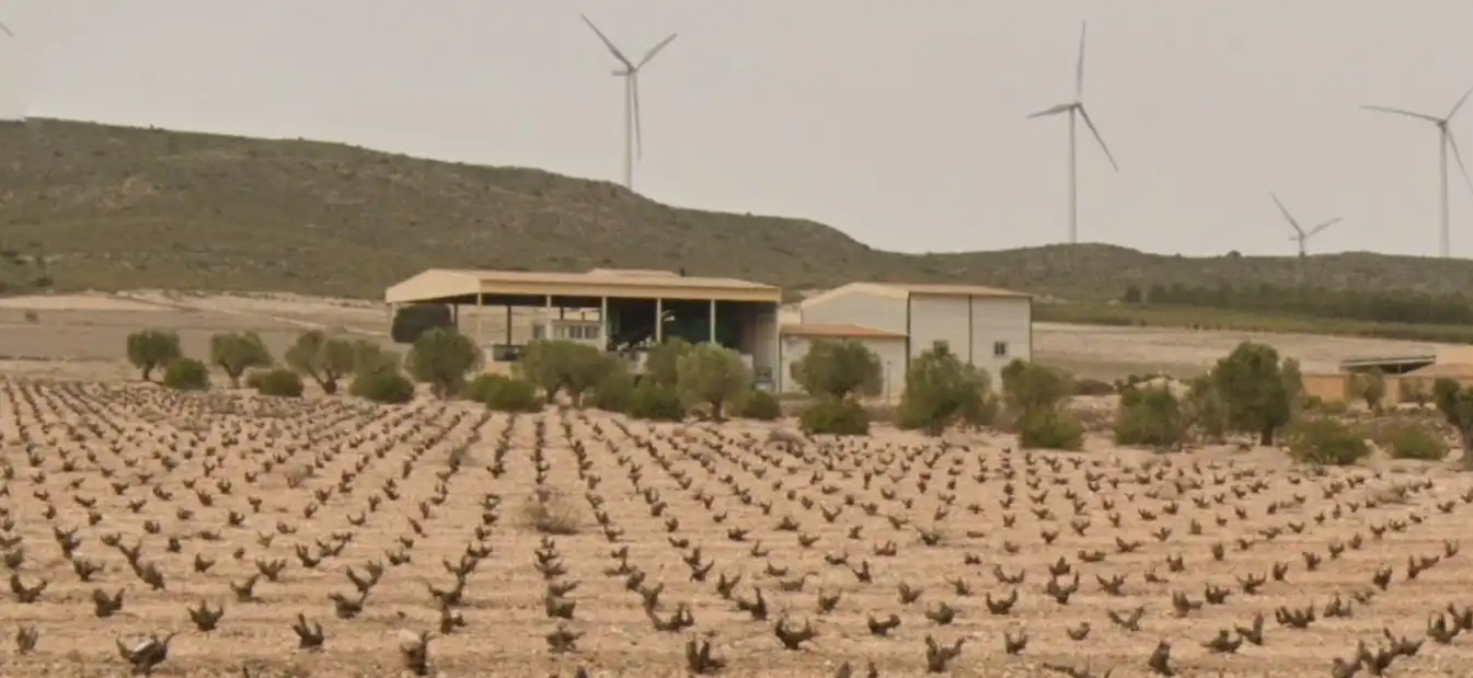 Exterior view of Country homes for sale in Jumilla  with Furnished