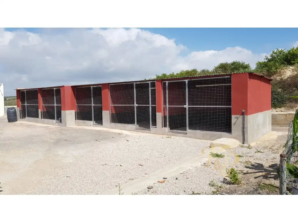 Casa en venta en Los Montesinos, imagen 16
