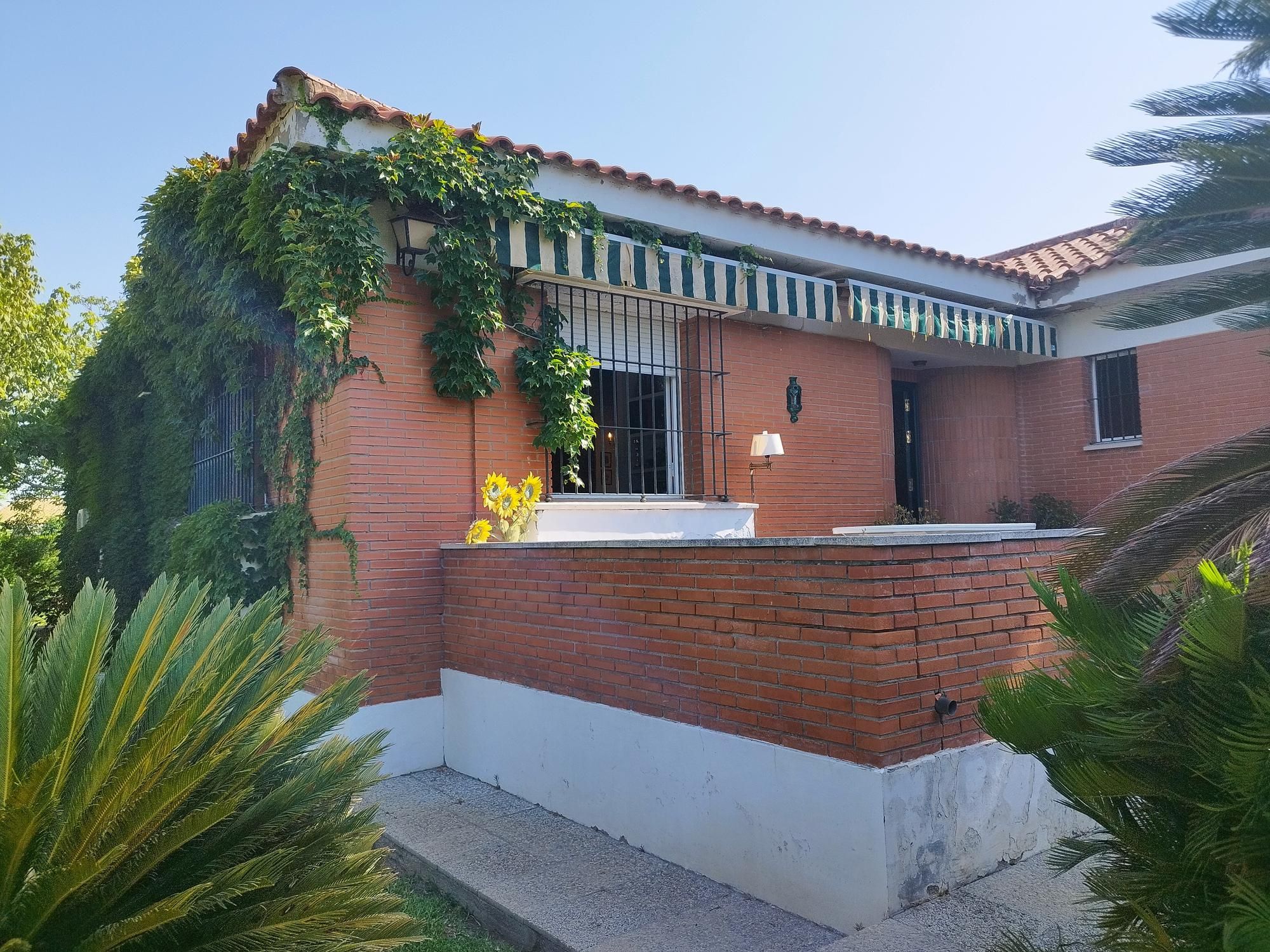 Vista exterior de Casa o chalet en venta en Carmona con Jardín privado y Piscina