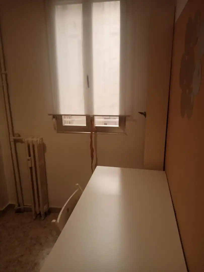 Room in Calle del Doctor Castelo, Ibiza de Madrid