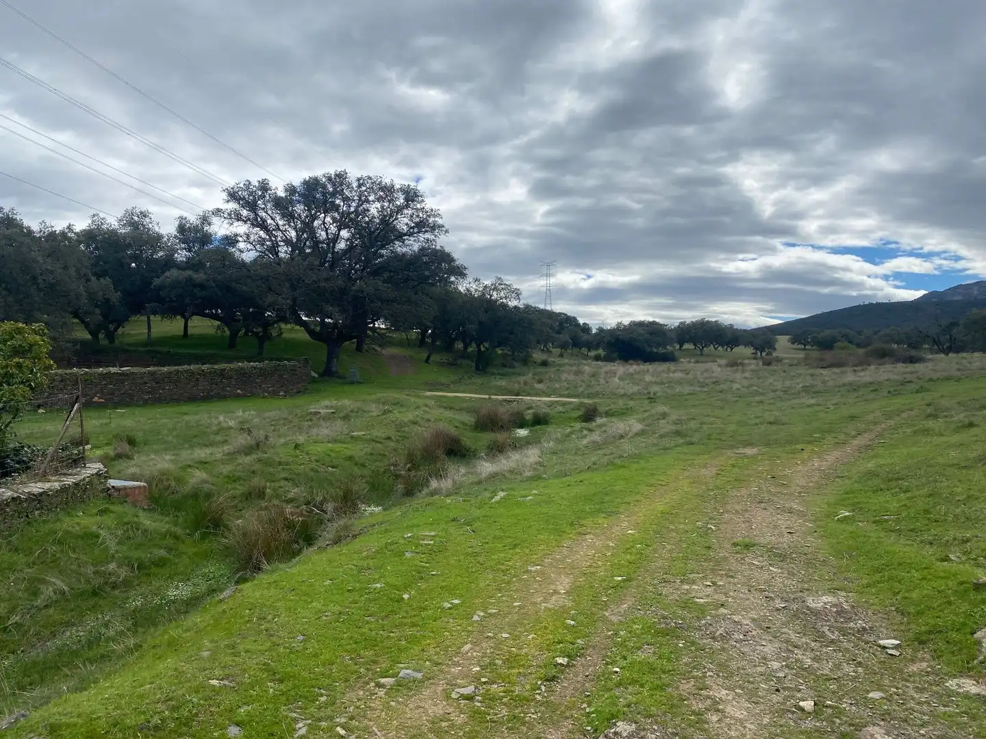 Terreny en venda en Mohedas de la Jara