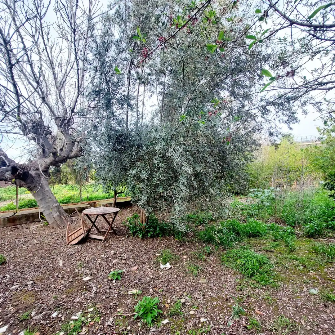 Garden of Houses for sale in Murcia  with Air Conditioner, Heating and Private garden