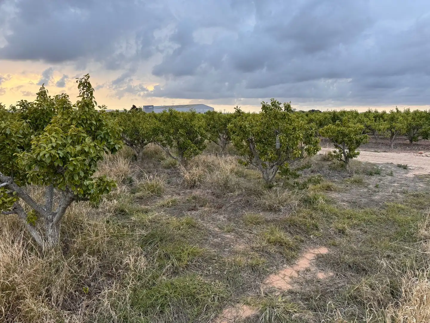 Terrenos y solares en venta en Polígono 10 Parcela 62, imagen 16