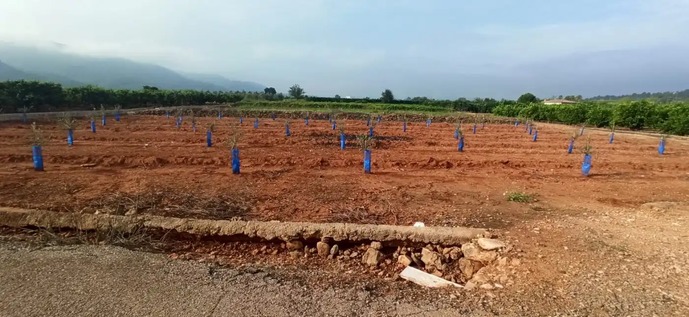 Terreno en venta en Anna