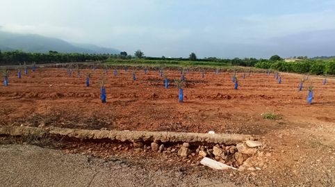 Foto 5 de Terreno en venta en Anna, Valencia