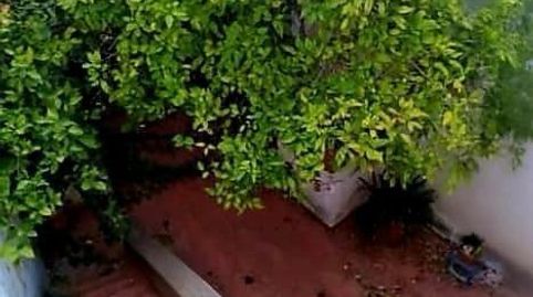 Photo 4 of Houses for sale in Arcos de la Frontera, Cádiz