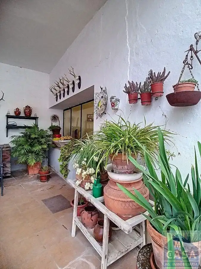 Casa en venta en Guareña, imagen 10