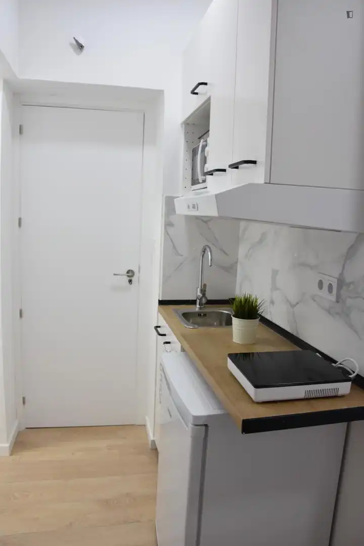 Studio zur Miete in Centro, imagen 4