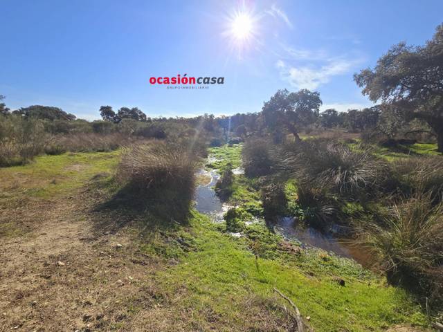 Finca rústica en Venta en Torrecampo