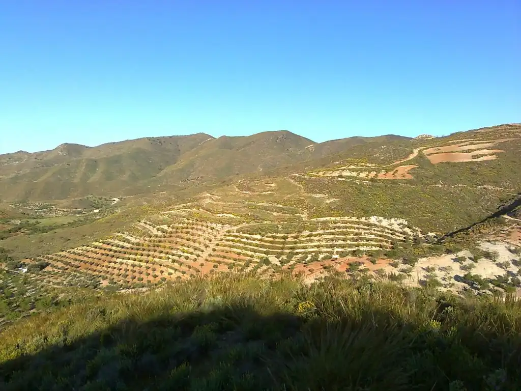 Casa o xalet en venda a del Hinojo a los Jerales, Lubrín