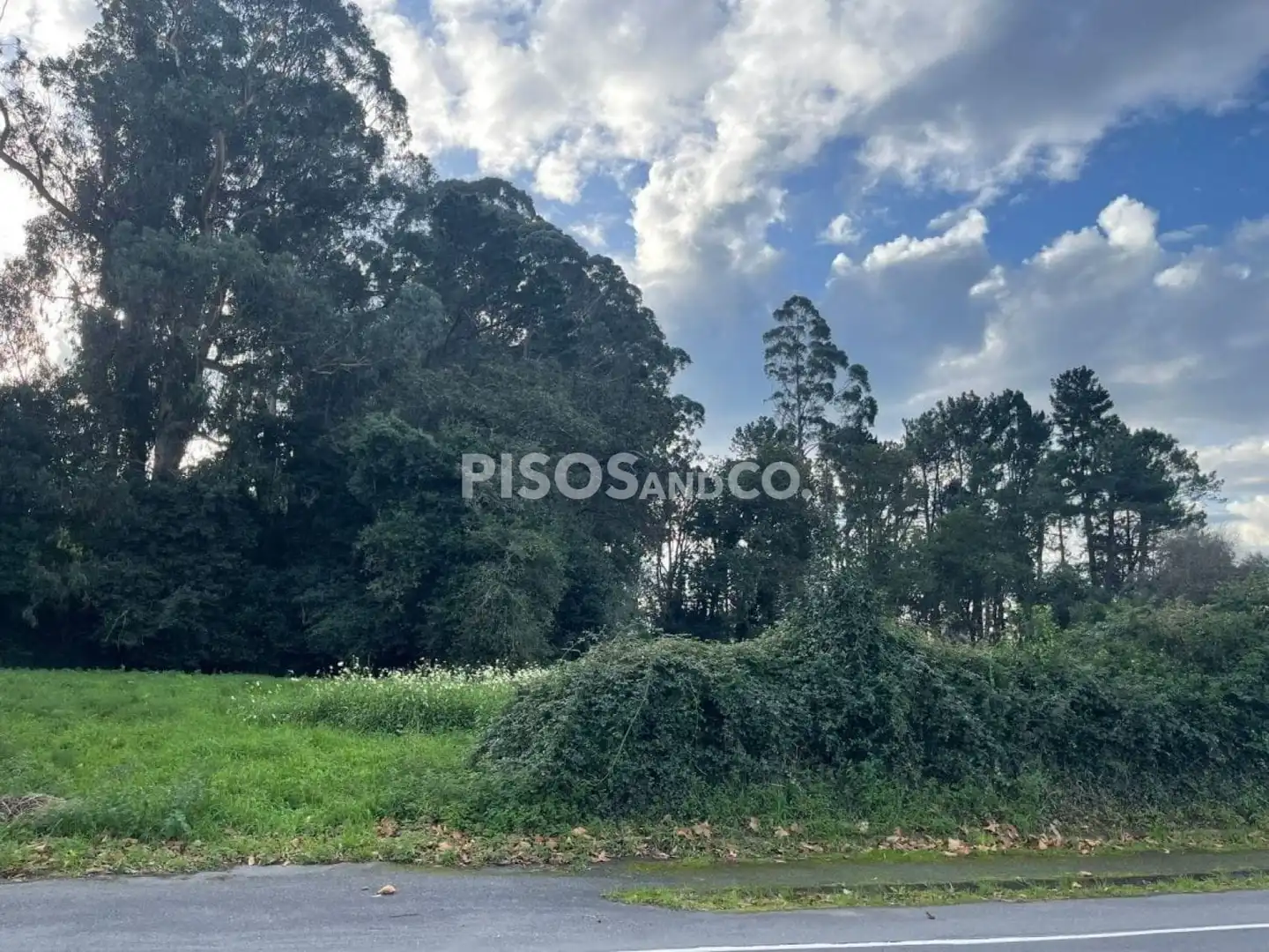 Terreni e lotti in vendita a Emilia Pardo Bazán, imagen 5
