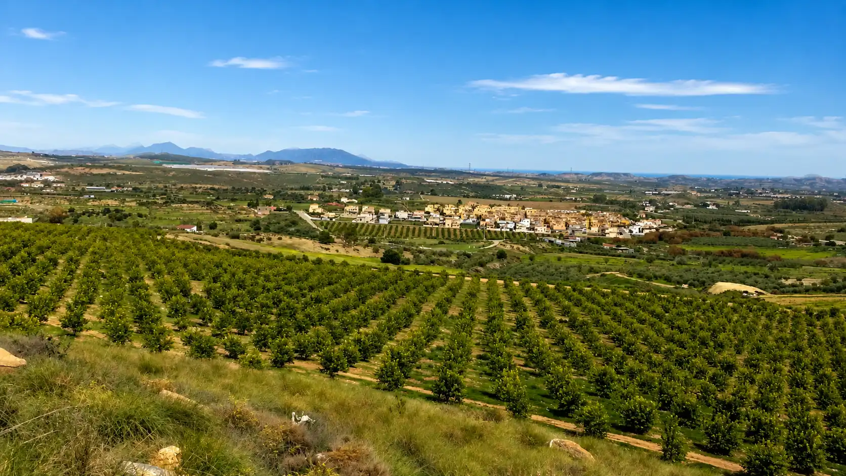 Vista exterior de Casa o xalet en venda en Los Gallardos amb Jardí privat i Piscina