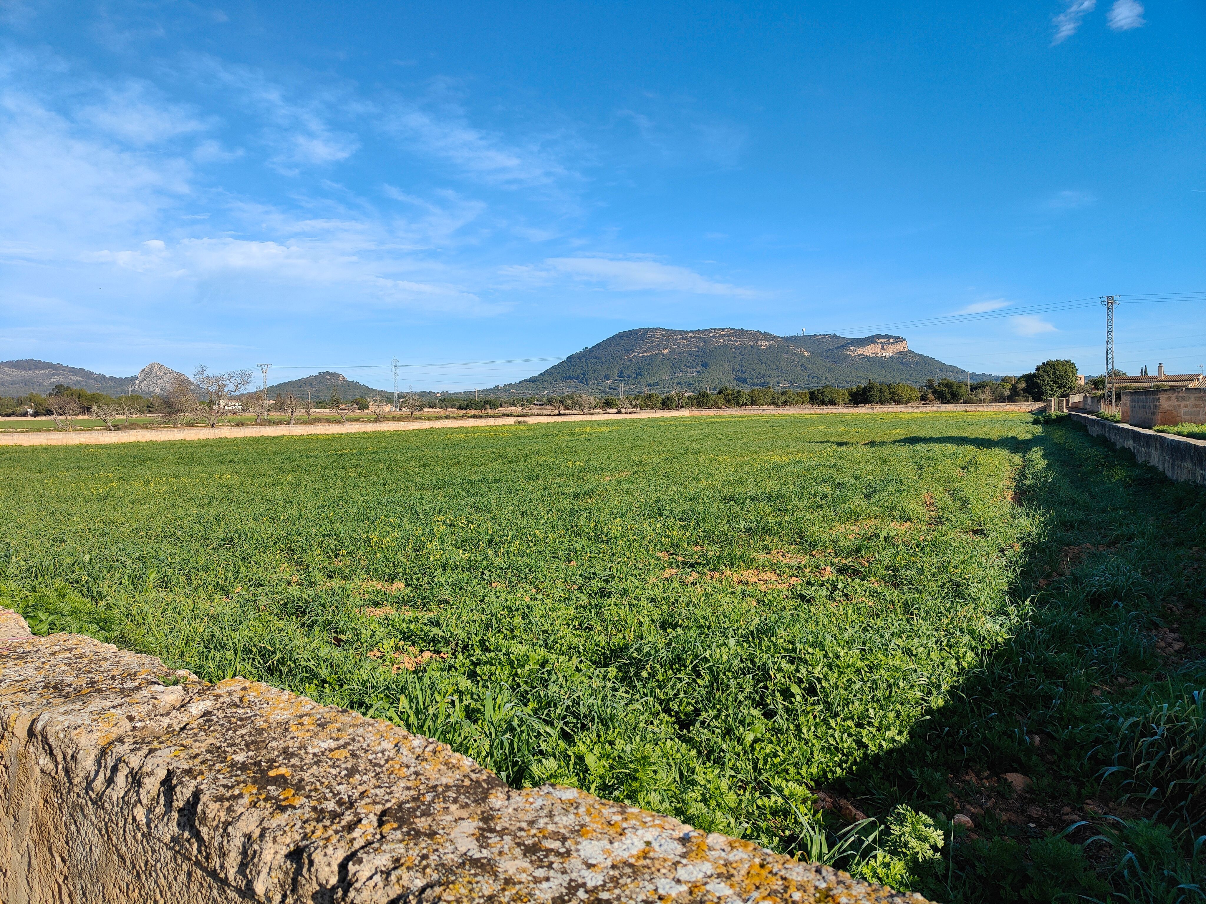Land for sale in Llucmajor