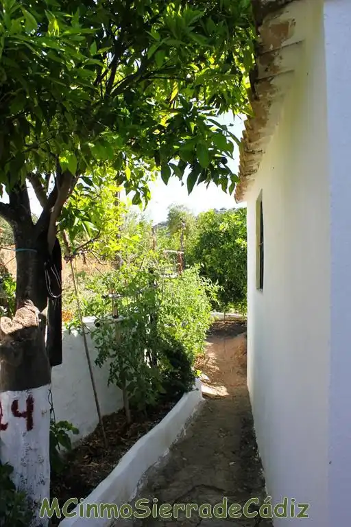 Casa o chalet en venta en de Cádiz, Algodonales