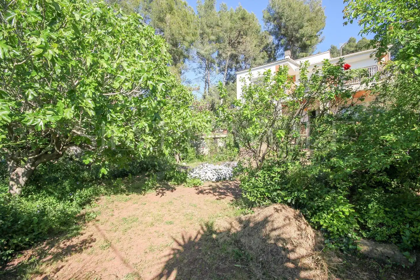 House with garden for sale in República Argentina, imagen 31