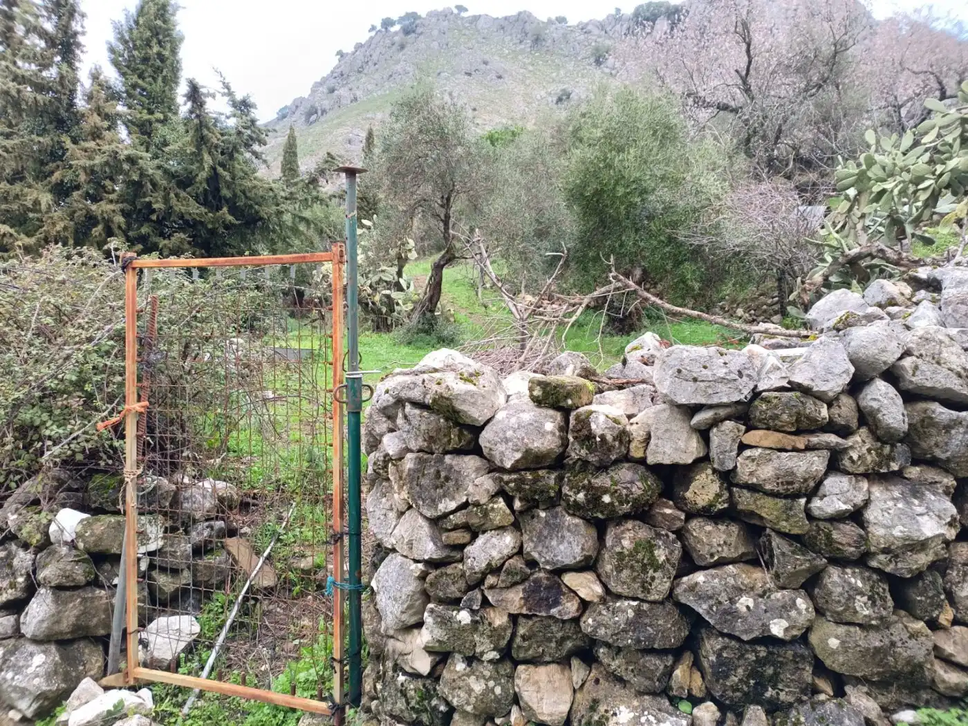 Terrain rustique à vendre à Benaocaz, imagen 6