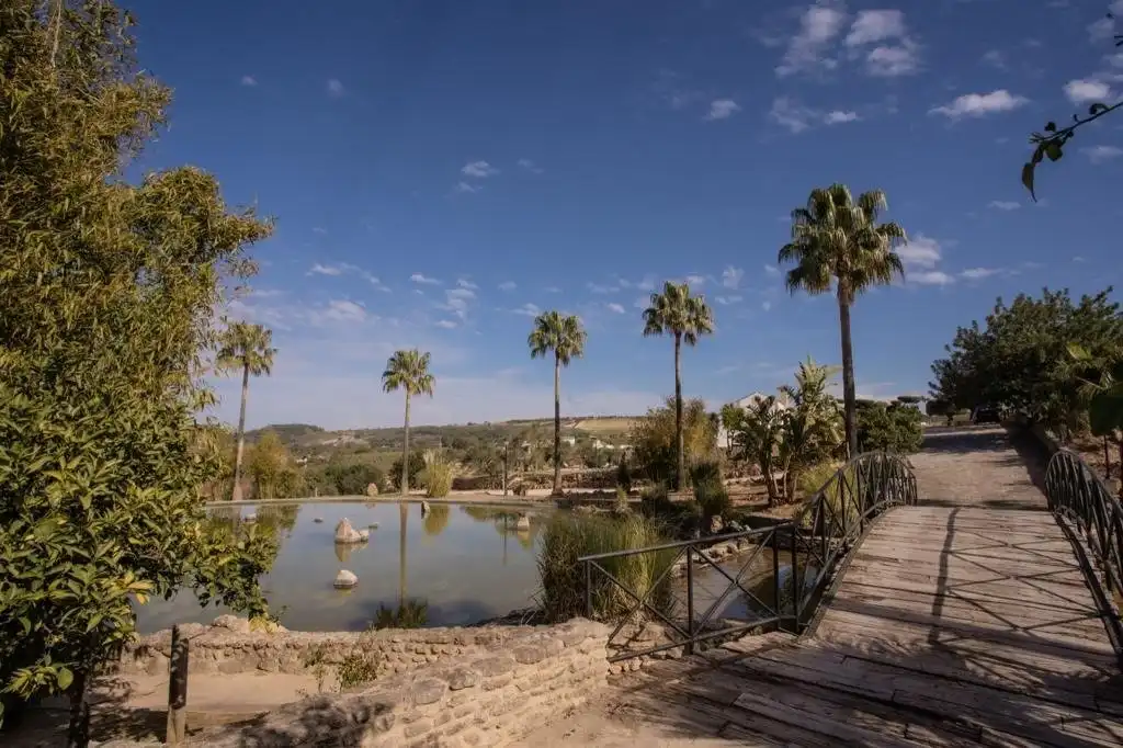 Vista exterior de Finca rústica en venda en Arcos de la Frontera amb Calefacció, Terrassa i Traster