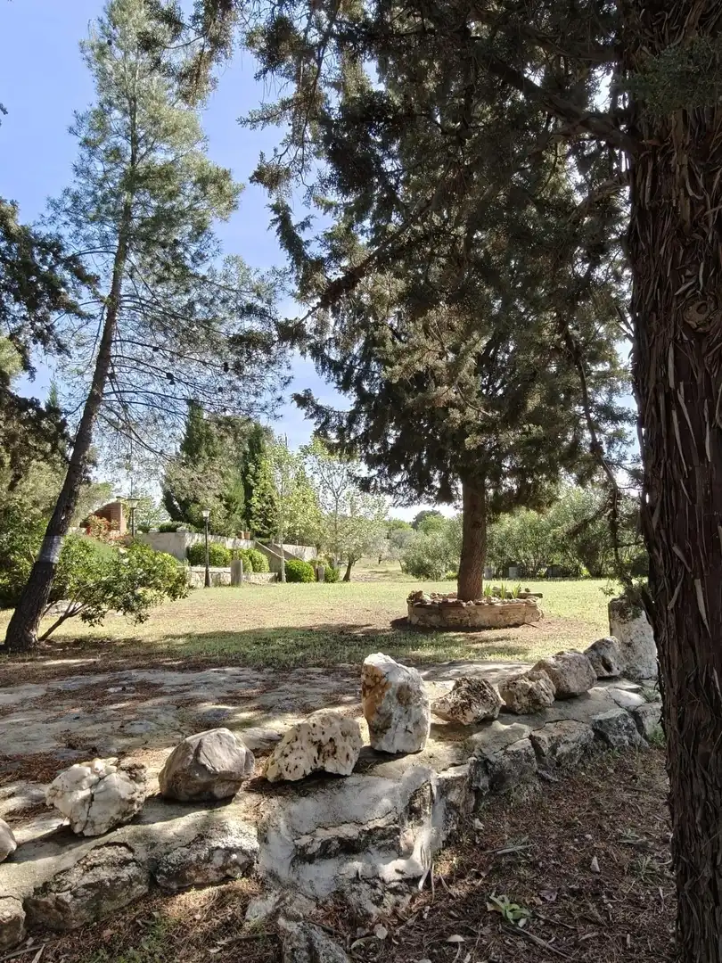 Chalet en venta en CERRO PALOS poligono 45 parcela 63, imagen 22