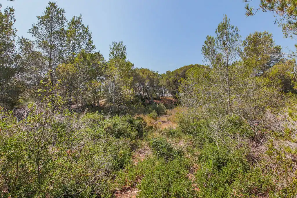 Terreno en venta en L'Ametlla de Mar 