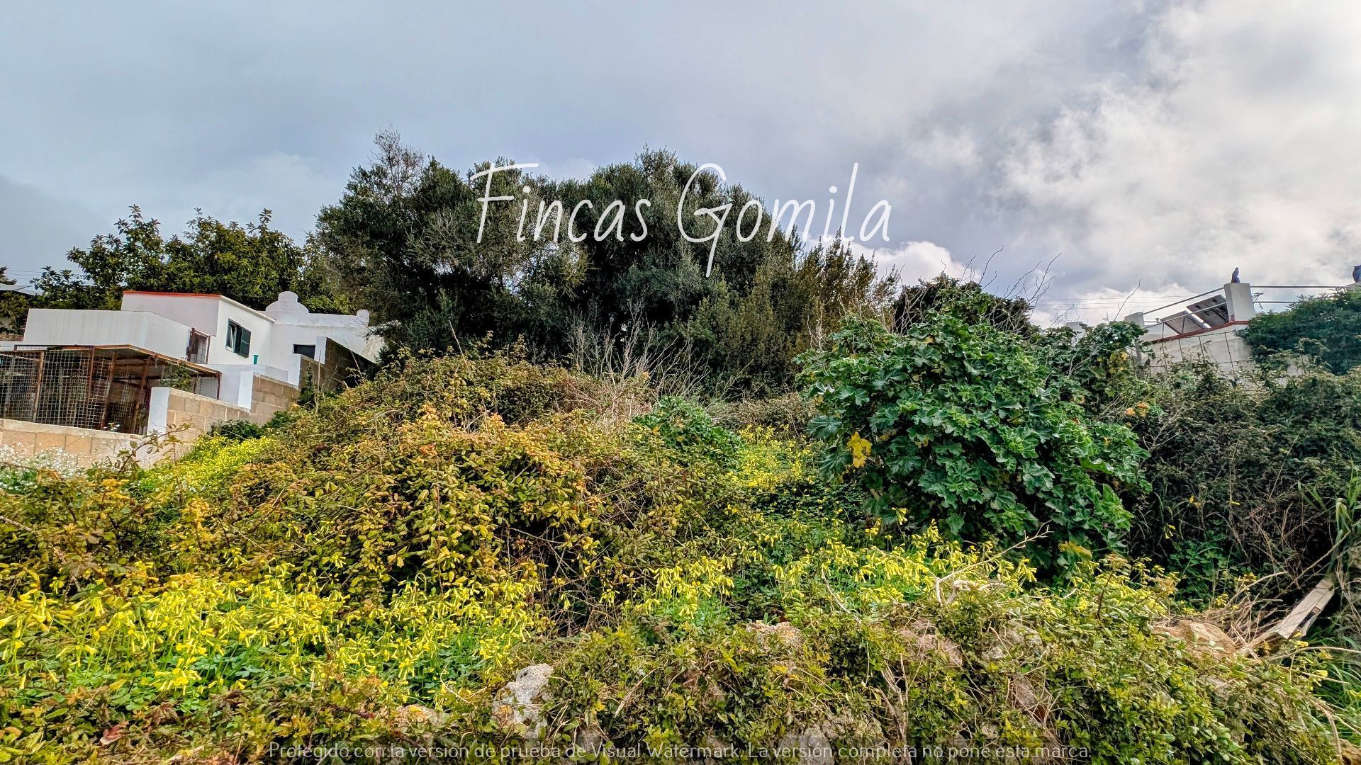 Terreno en venta en Alaior