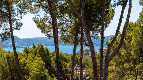 Photo 3 of House or chalet for sale in Peguera, Calvià