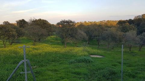 Foto 5 de Residencial en venda a Calle del Hortelano, Dehesilla de Calamón - Campomanes, Badajoz