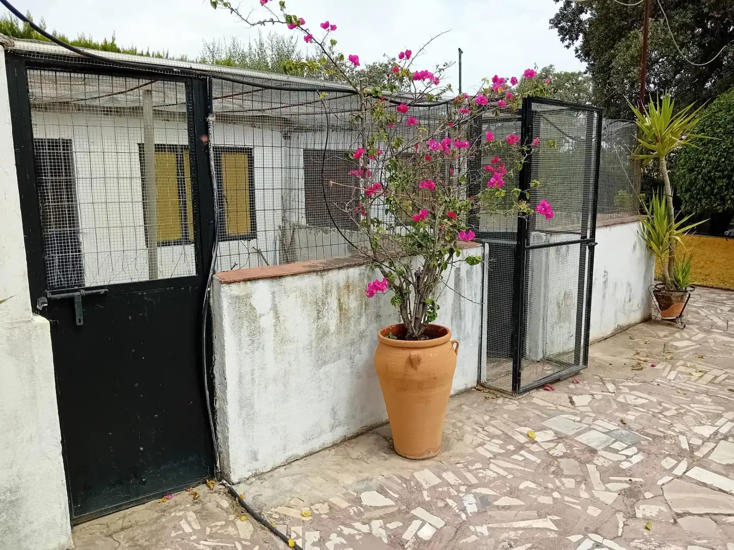 Villa mit Pool zum Verkauf in La Carlota, imagen 30