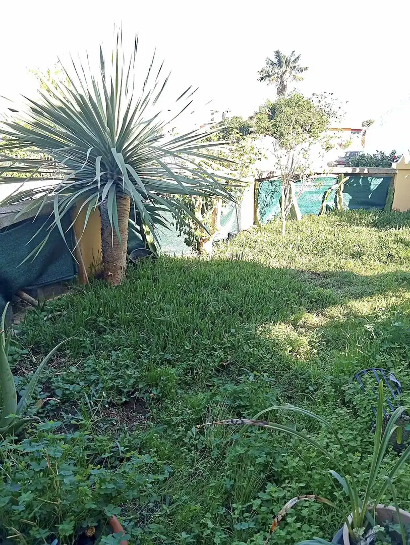 Garten von Wohnung zum Verkauf in Los Realejos mit Privatgarten, Terrasse und Möbliert
