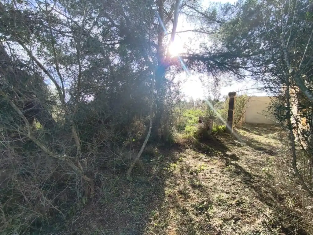 Country homes for sale in Poligono 2 Paraje 141 Sencelles, Zona Periurbana