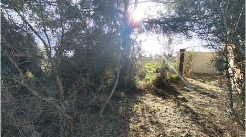 Photo 3 of Country homes for sale in Poligono 2 Paraje 141 Sencelles, Zona Periurbana, Inca