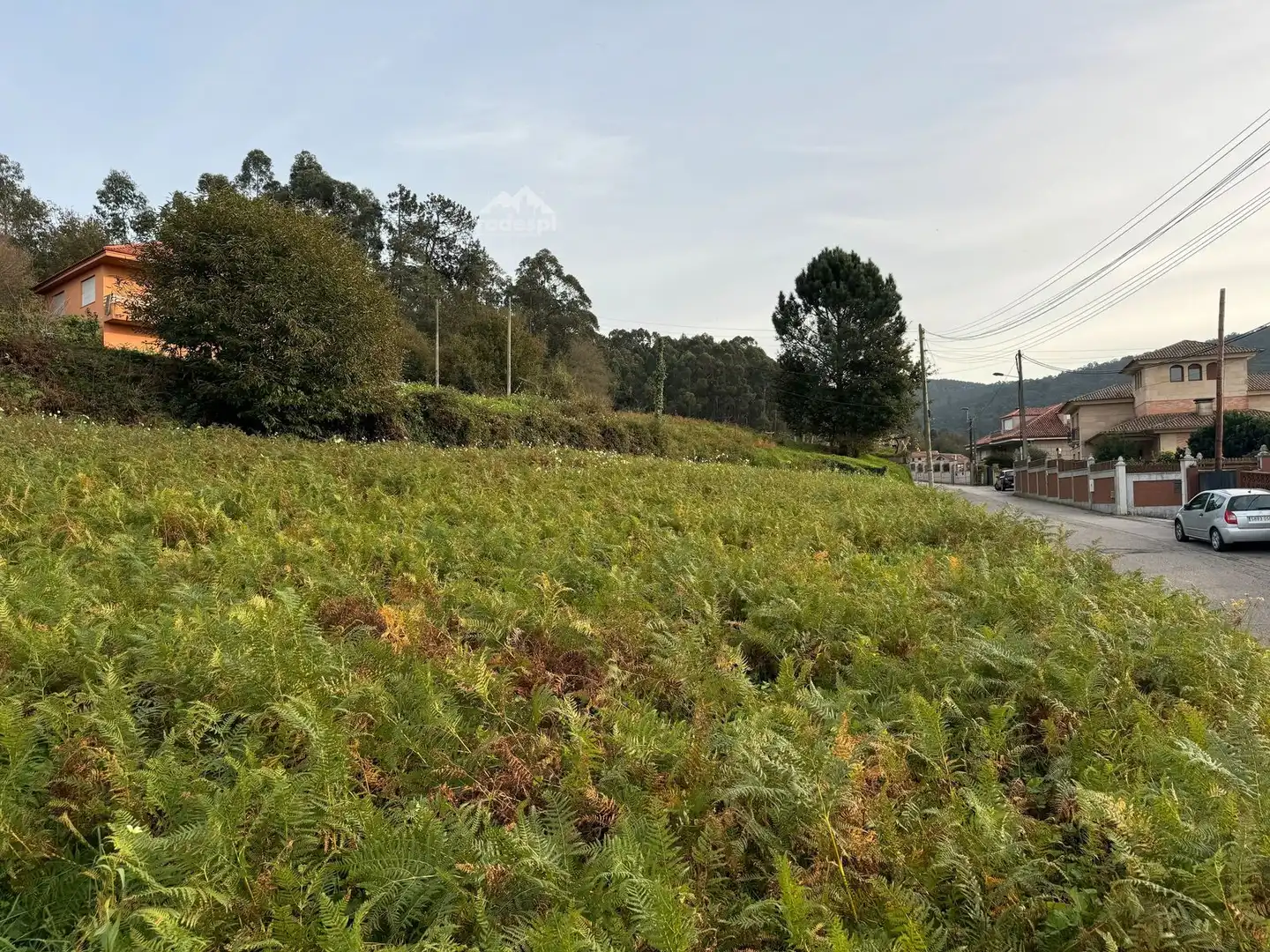 Terreno rústico en venta en Bembrive, imagen 22