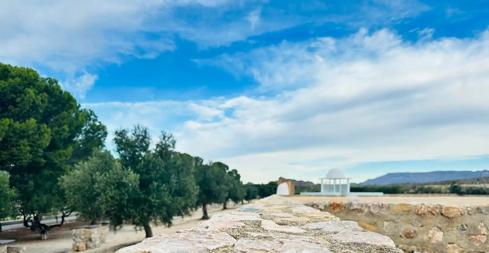 Vista exterior de Casa o xalet en venda en Ulea amb Aire condicionat, Calefacció i Jardí privat